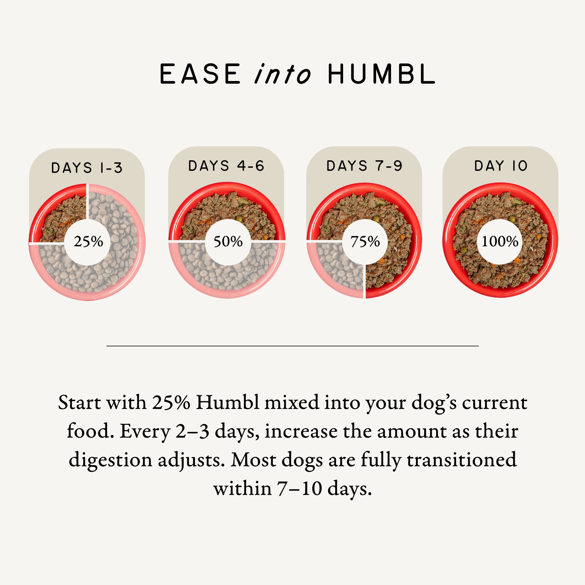 Dog food meal transition guide