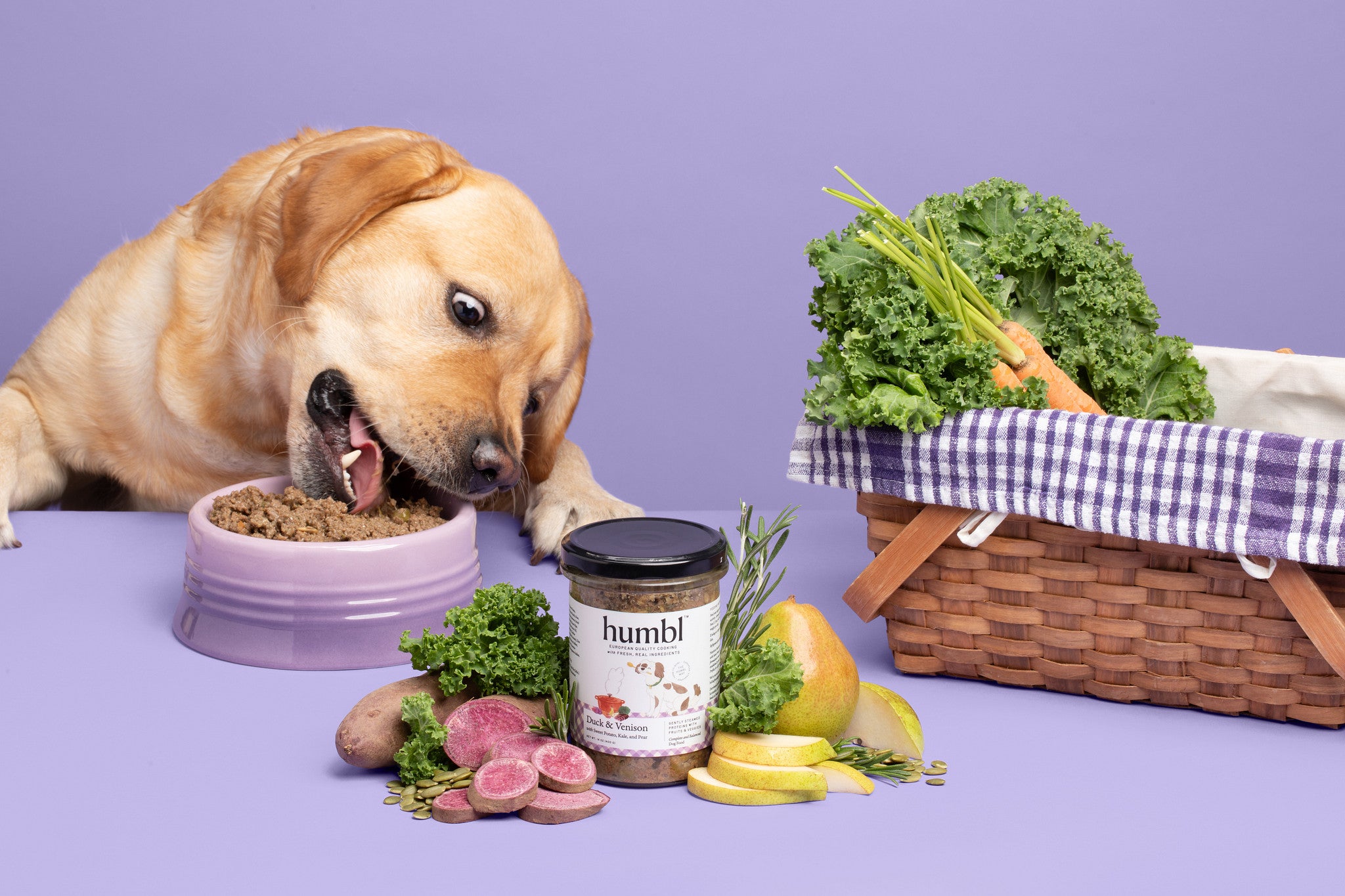 yellow lab eating bowl of dog food